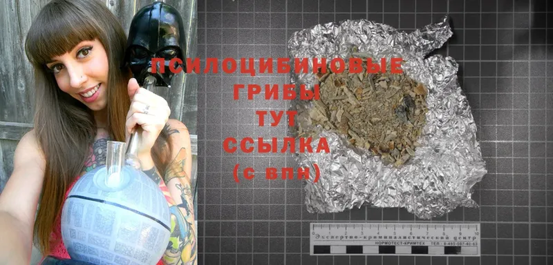 хочу   Богородицк  Галлюциногенные грибы MAGIC MUSHROOMS 